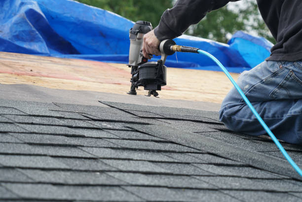 Best Roof Repair Services  in Stockton, KS
